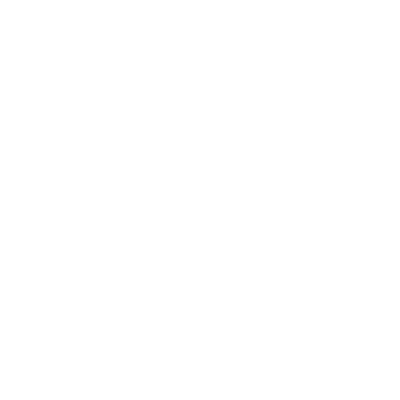 Icon Schlüsselfertig